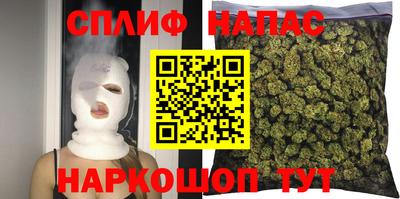 крисы Новозыбков
