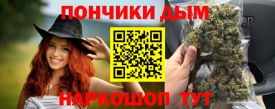 крисы Новозыбков