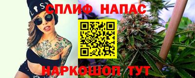 крисы Новозыбков