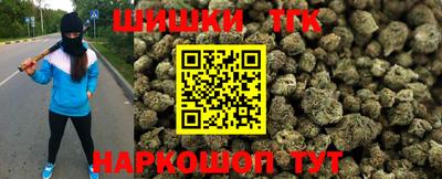 крисы Новозыбков