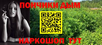 наркотики Новодвинск