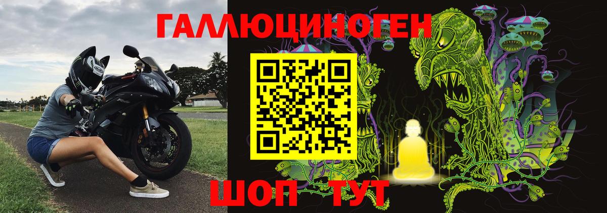 Галлюциногенные грибы Cubensis  купить наркоту  Галлюциногенные грибы мицелий  Сосновый Бор  Вход с VPN 